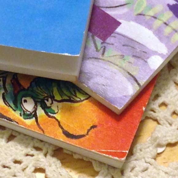 Kid's book bundle - Supa Doopers, Sundance Publishing small paperbacks - Picture 12 of 14